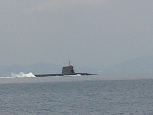 ゆきかぜでメバルと戯る ねじろうの瀬戸内海遊記