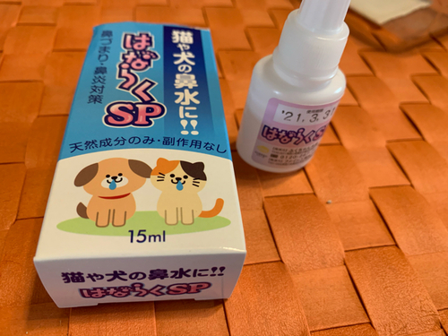 猫の副鼻炎改善 沖縄猫雑貨店 猫家in Neko Fan