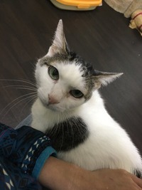 シャンくん　譲りましぇん！！ 2017/12/17 20:52:00