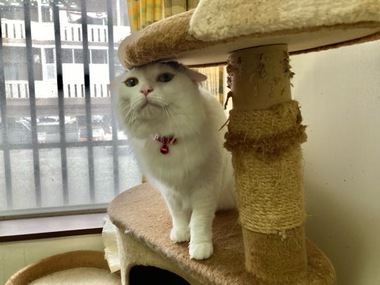 プピちゃん
