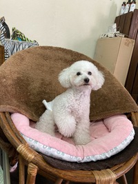 コタローくん いらっしゃい♫