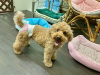 ハイコちゃん お帰りです♫