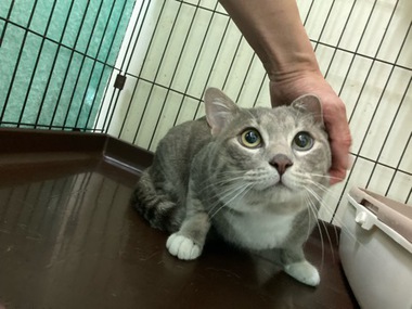 レオンくん はじめまして♫