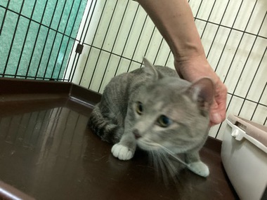 レオンくん はじめまして♫