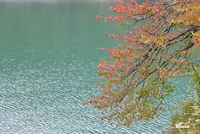 奥多摩湖の紅葉 2018/11/04 09:54:47