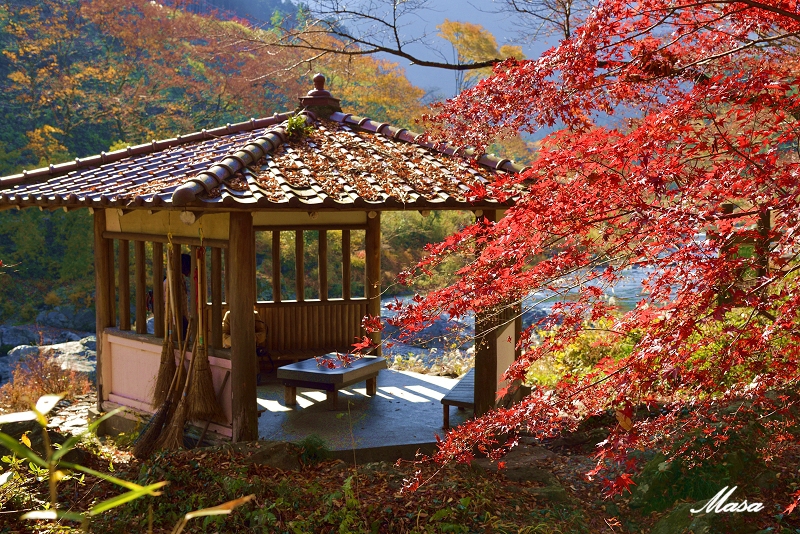 奥多摩の紅葉