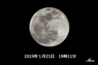 スーパームーン 2019/01/21 20:53:09