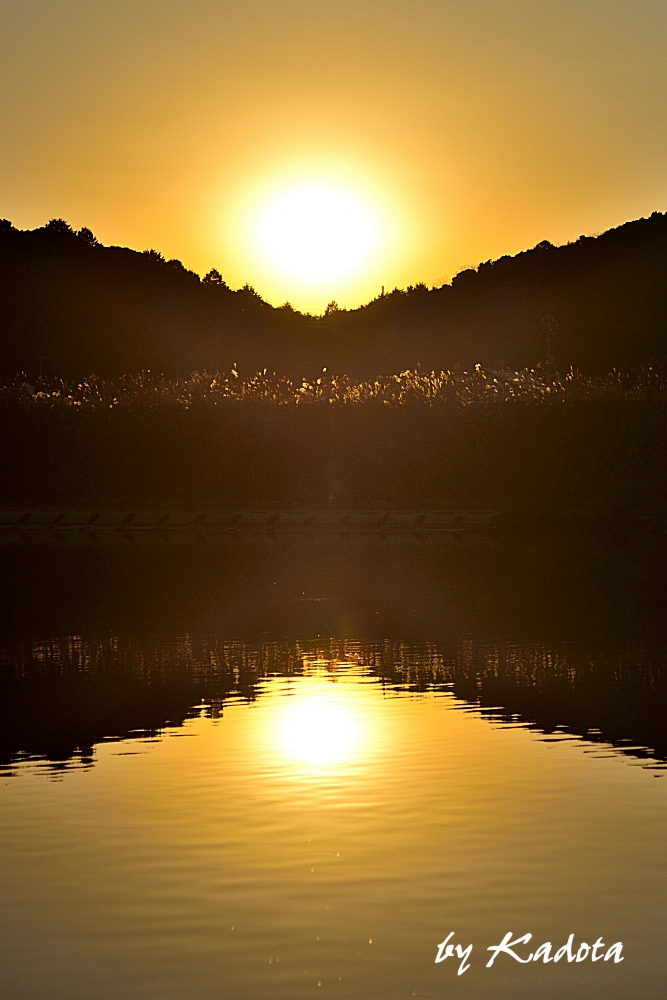 新春の夕日