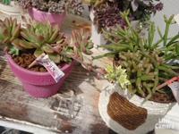 ＊納品 2016/05/04 20:10:16