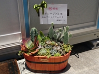 ＊移転祝いに(๑•ᴗ•๑) 2016/07/01 21:25:11