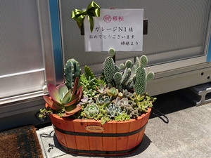 ＊移転祝いに(๑•ᴗ•๑)