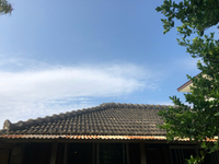 施術メニューのお値段を、お手頃にしました( *´艸｀) 2019/05/13 17:13:00
