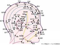 ✴経絡ヘッドマッサージ✴をオプションではじめま～す！！