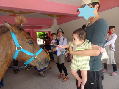 乗馬体験
