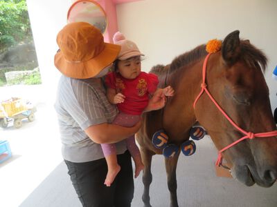 馬とふれ合い体験