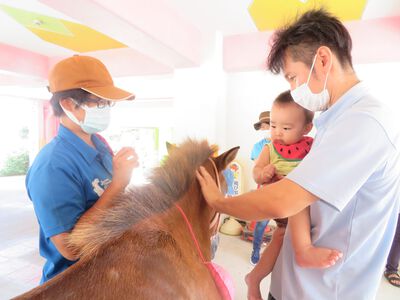 馬とふれ合い体験