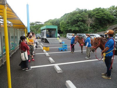 馬とふれ合い体験