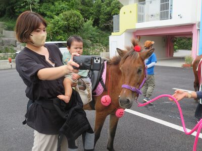 馬とふれ合い体験
