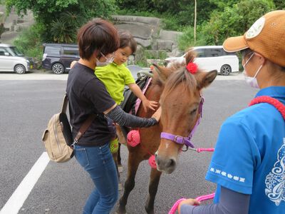 馬とふれ合い体験