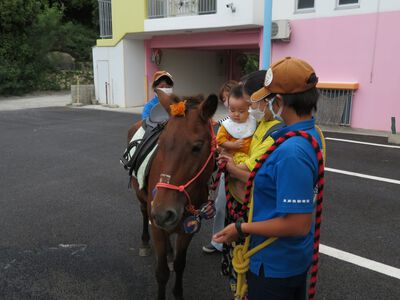 馬とふれ合い体験