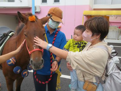 馬とふれ合い体験