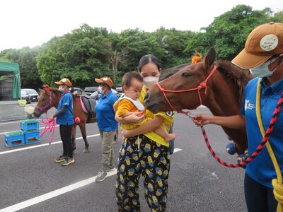 馬とふれ合い体験