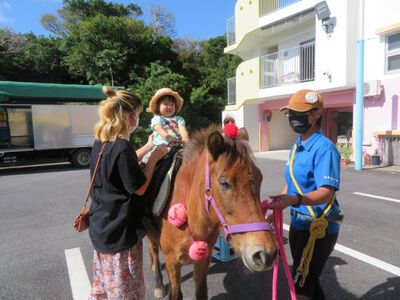馬とふれ合い体験