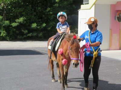 馬とふれ合い体験