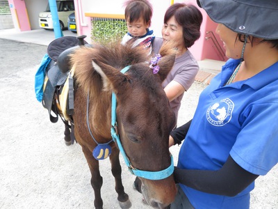 乗馬体験