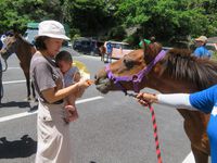お馬とのふれあい体験 2023/07/12 15:10:58