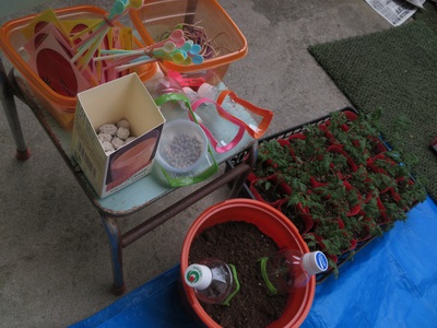 苗植え体験