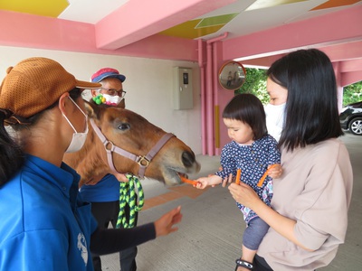 乗馬体験
