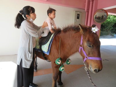 乗馬体験