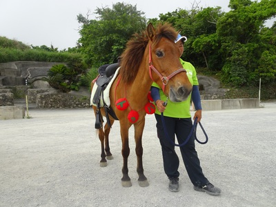 乗馬体験