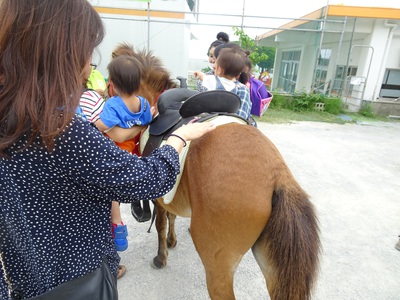 乗馬体験