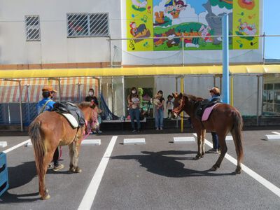 馬とふれ合い体験