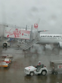 羽田空港は雨 2015/12/03 09:58:39