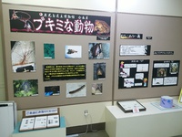 鹿児島県立博物館 2016/09/07 13:16:42