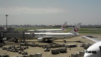 JAL SKY NEXT