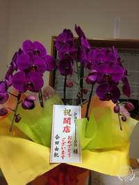 お祝い 2018/05/17 08:44:27