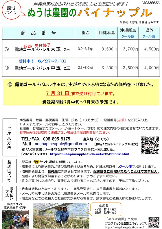 露地ゴールドバレル中玉チラシ