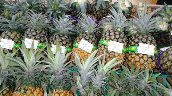 ぬうは(nuuha)農園のパイナップル【沖縄県東村のパイン農家】:ホワイト
