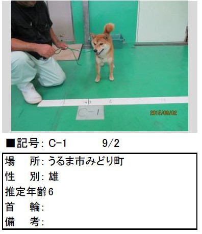 飼い主さんのお迎え待ってます！動物愛護管理センター収容情報（9/2）