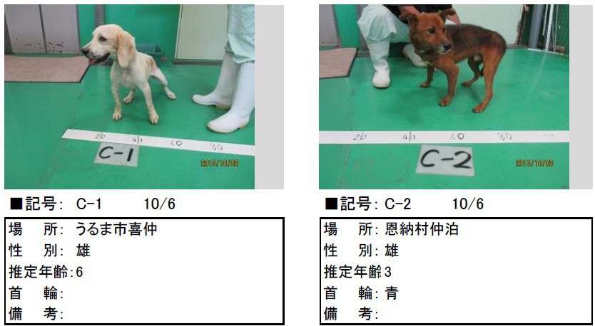 飼い主さんのお迎え待ってます！動物愛護管理センター収容情報（10/6）