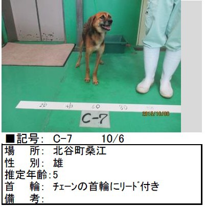 飼い主さんのお迎え待ってます！動物愛護管理センター収容情報（10/6）