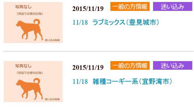 飼い主さんのお迎え待ってます！動物愛護管理センター収容情報（11/19）