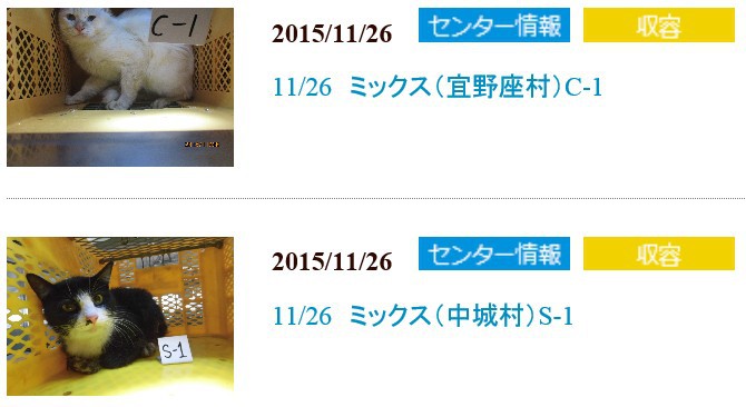 飼い主さんのお迎え待ってます！動物愛護管理センター収容情報（11/26）