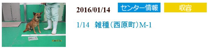 飼い主さんのお迎え待ってます！動物愛護管理センター収容情報（1/14）