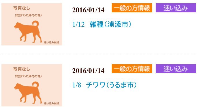 飼い主さんのお迎え待ってます！動物愛護管理センター収容情報（1/14）
