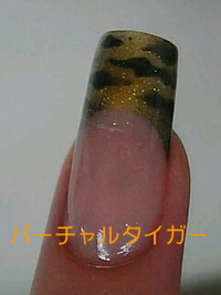 タイガー 2008/02/26 14:29:57